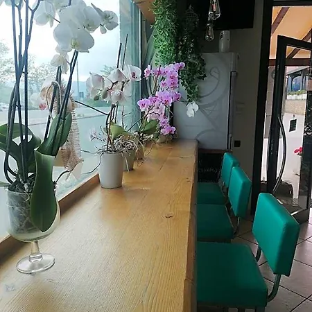 Hotel Le 2 Rose Monte San Vito